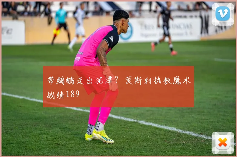 带鹈鹕走出泥潭？莫斯利执教魔术战绩189